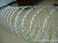 Razor barbed wire mesh(factory)