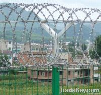 crossed razor wire