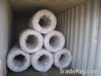 galvanized wire