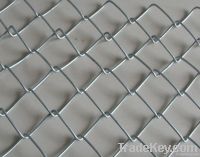 galvanized chain wire mesh