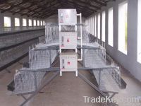 Chicken breeding cages