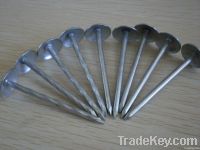 Roofing nails with umbrella head
