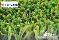 Football artificial grass