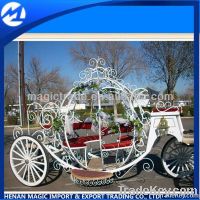 Cinderella's horse drawn carriage