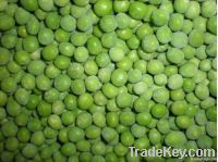 https://es.tradekey.com/product_view/2013-Frozen-Green-Peas-5197568.html