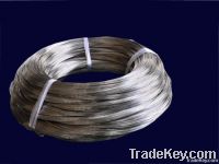 Stainless Steel Wire Mesh(SS304, 316, 316L)