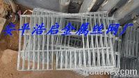 Galvanized Welded Wire Mesh(Direct Factory)