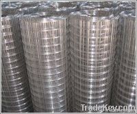 galvanized welded wire mesh