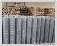 Galvanized welded wire mesh(factory)