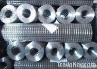 Specialized Galvanized Welded Wire Mesh Panel , welded wire mesh