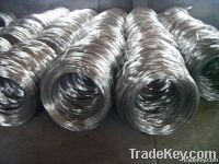 binding electro Galvanized wire