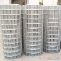 electro galvanized welded wire mesh