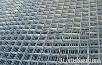 Galvanized welded wire mesh(factory)