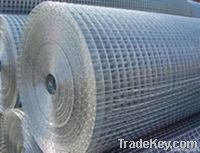 Welded wire mesh(Electro or hot dipped galvanized)