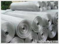 galvanized & PVC Coated & Black &Stainless steel welded wire mesh