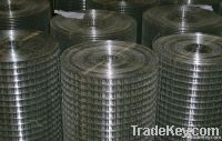 Stainless Steel/Galvanized /PVC coated Welded wire mesh