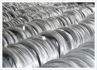 Electro/Hot Dipped Galvanized Steel Wire