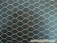 Galvanized Hexagonal Wire Mesh,Pvc Coated Hexagonal Wire Mesh