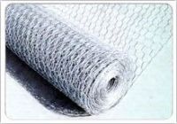 hexagonal wire mesh