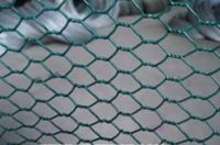 Galvanized or pvc coated hexagonal wire mesh/chicken wire mesh