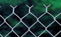 pvc coated or electro galvanized chain link fence