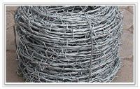 galvanized barbed wire