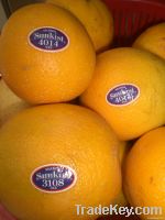 Fresh Oranges (Va...