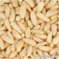 Pine Nuts