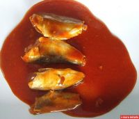 Canned Mackerel in Tomato Sauce