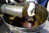 Crude Palm Oil for Biodiesel