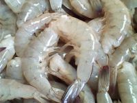 Vannamei Shrimps