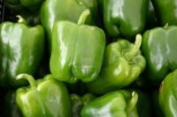 Green Pepper