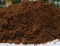 Palm Kernel Cake