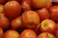 Royal Gala Apples