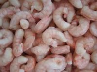 Frozen Shrimps or Prawns