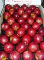 Top Red Apples Apples