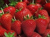 Fresh Strawberries