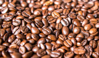 Green Arabic Coffee Beans For Hot Sale 