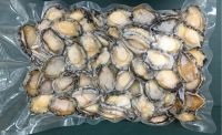 Frozen Abalone