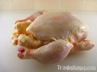 frozen whole halal & normal chicken