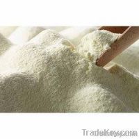 Skim Milk Powder