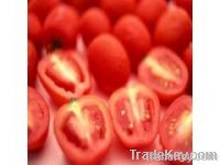https://fr.tradekey.com/product_view/100-Natural-Tomato-Lycopene-5225738.html