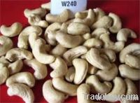 Dried Fruits | W240 Cashew Nuts Suppliers | W320 Cashew Nut Exporters | Cashew Nut Suppliers | Cashew Nut Exporters | Cashew Nut Manufacturers | Cheap Cashew Nut | Wholesale Cashew Nut