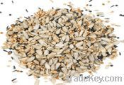 Sunflower Kernels Chips Bird food Grade Peeled Hulled Sunflower Seeds