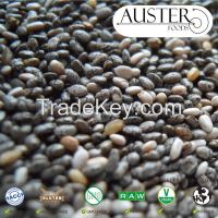 Chia Seeds - Natural, Bulk