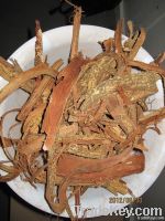 Whole Acacia Confusa Root Bark