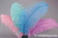 Ostrich Feather | Peacock Feathers | Goose Feathers