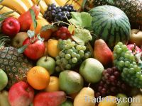 https://www.tradekey.com/product_view/Apples-Avocados-Bananas-Berries-Cherries-Citrus-Fruit-Coconuts-G-5254977.html