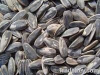 Castor Seeds, Cotton Seeds, Flax Seeds, Jatropha Seeds, Rape Seeds, Sesame