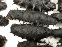 Dried Sea cucumber